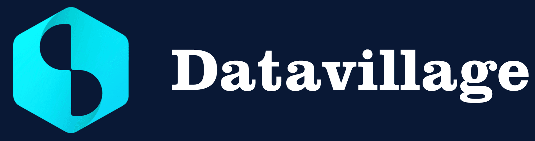 datavillage