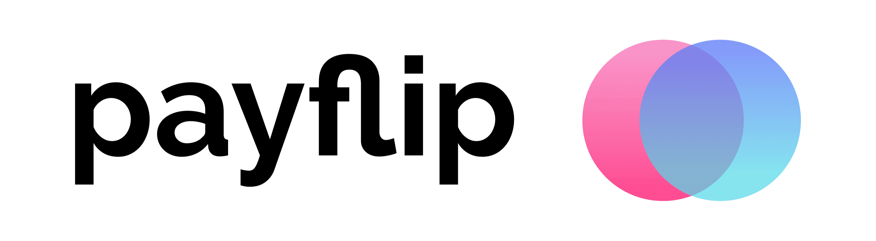 Payflip logo